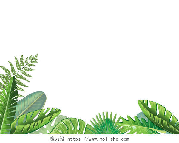 热带植物树叶剪影矢量树叶夏天边框春天花边边框
